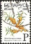 Stamps Europe - Belarus -  Sea-buckthorn Berries - Hippophae rhamnoides