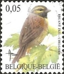 Stamps : Europe : Belgium :  Cirl Bunting (Emberiza cirlus)