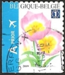 Stamps Belgium -  Tulip Bakeri Selfadh. Top imperforate