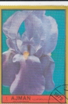 Sellos de Asia - Emiratos rabes Unidos -  FLORES- 