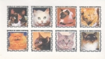 Stamps : Africa : Equatorial_Guinea :  GATOS DE RAZA