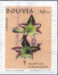 Stamps Bolivia -  Flora boliviana