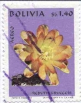 Stamps Bolivia -  Flora boliviana