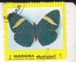 Stamps Bahrain -  MARIPOSA