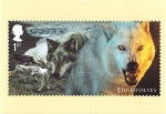 Stamps Europe - United Kingdom -  serie- Tarjetas franqueadas