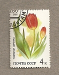 Stamps Russia -  Flora de las estepas rusas