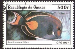 Stamps : Africa : Guinea :  