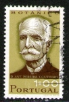Stamps Portugal -  47 Antonio Pereira (botánico)