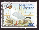 Stamps Tajikistan -  