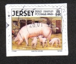 Sellos del Mundo : Europa : Isla_de_Jersey : Animales de Granja