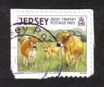 Stamps Jersey -  Animales de Granja