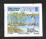 Stamps : Europe : Jersey :  Arecifes Costeros
