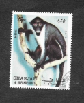 Stamps : Asia : United_Arab_Emirates :  Primate