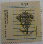Stamps Venezuela -  250 AÑOS DEL NACIMIENTO DE PEDRO LOEFLING