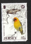Stamps : Europe : Jersey :  Animales