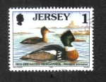 Stamps : Europe : Jersey :  Pájaros