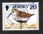 Stamps Jersey -  Pájaros