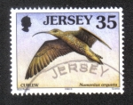 Stamps : Europe : Jersey :  Pájaros