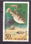 Stamps North Korea -  serie- Moluscos