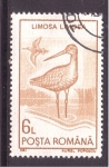 Stamps Romania -  Limosa limosa