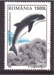 Stamps Romania -  Cetaceos