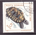 Stamps : Europe : Romania :  serie- Reptiles