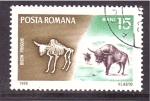 Stamps Romania -  serie- Fosiles