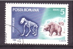 Sellos de Europa - Rumania -  serie- Fosiles