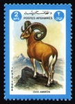 Stamps Afghanistan -  Ovis ammon