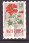 Sellos de Europa - Rumania -  serie- Flores ornamentales