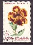 Stamps Romania -  serie- Flores cultivadas