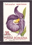 Sellos de Europa - Rumania -  serie- Flores cultivadas