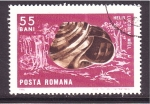 Stamps : Europe : Romania :  serie- Moluscos y crustáceos