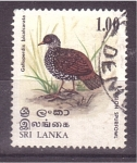 Stamps Sri Lanka -  Ave