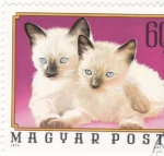 Stamps Hungary -  GATOS