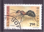 Stamps : Europe : Bulgaria :  serie- Insectos