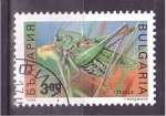 Sellos de Europa - Bulgaria -  serie- Insectos