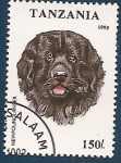 Stamps : Africa : Tanzania :  Perros de Raza - Newfoundlander