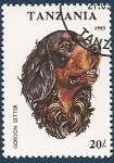 Stamps Tanzania -  Perros de Raza - Gordon Setter