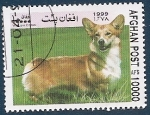 Stamps Afghanistan -  Perros de Raza - Welsh Corgi