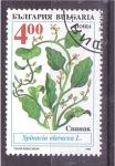 Sellos de Europa - Bulgaria -  serie- Plantas