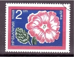 Stamps : Europe : Bulgaria :  serie- Flores de jardín