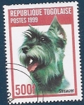 Stamps : Africa : Togo :  Perros de Raza - Shnauzer