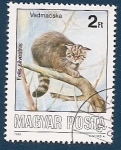 Stamps : Europe : Hungary :  Gato Silvestre