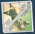 Sellos de Africa - Togo -  Gato California y  Gato Balinés