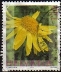 Stamps Switzerland -  SUIZA Switzerland Suisse 2003 Scott1145 Sello Serie Flores Arnica Montana Michel1823 usado