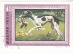 Stamps : Europe : Hungary :  PERRO DE CAZA