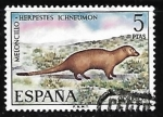 Stamps Spain -  Fauna Hispánica - Meloncillo