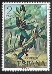 Stamps Spain -  Flora - Faya