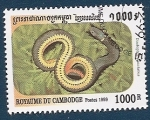 Stamps Cambodia -  Culebra de collar